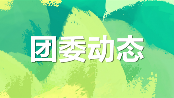 集团公司2024年度团干部暨青年骨干培训班圆满结业